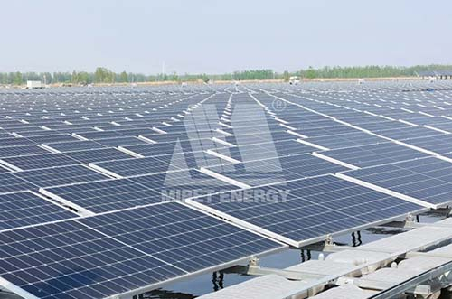 72MW！邁貝特江蘇沛縣水上光伏電站項目閃耀上線！